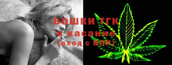 дживик Арсеньев