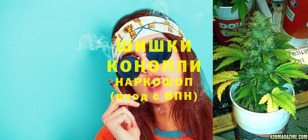 дживик Аркадак
