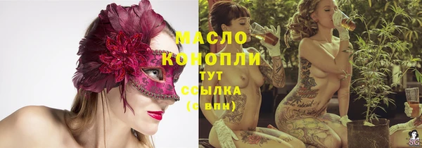 индика Баксан